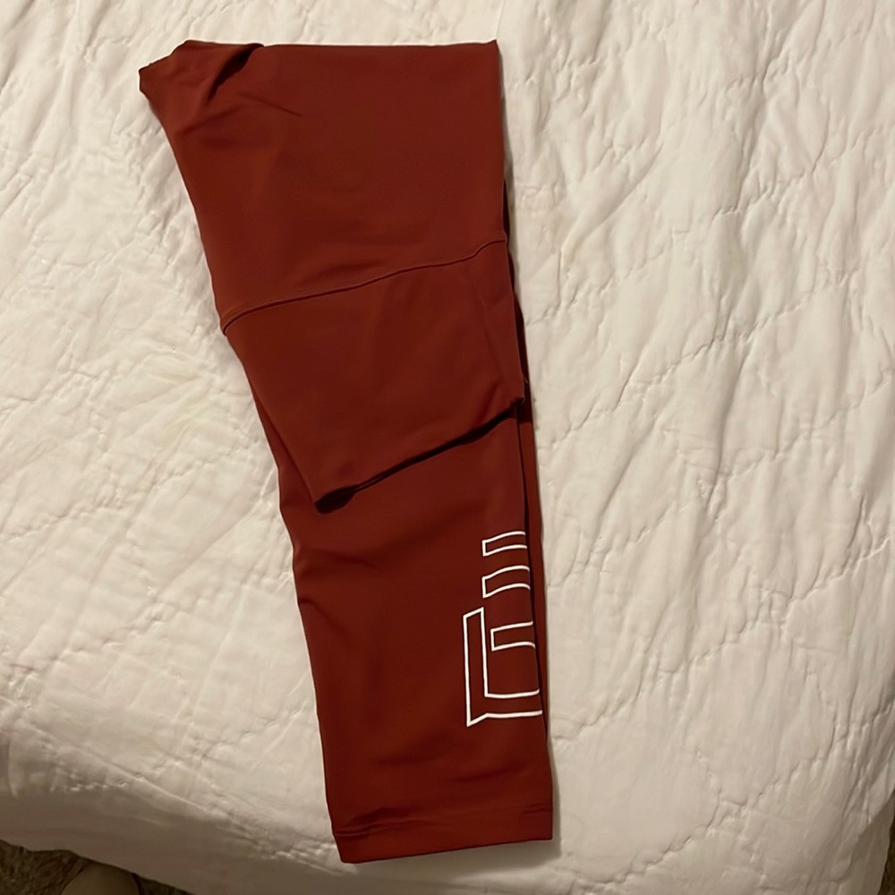 DYI Barre 3 Clay Colored Leggings